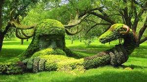 在鬱鬱蔥蔥的綠色公園中，覆蓋苔蘚的駝鹿和龍修剪灌木雕塑。 — 蒙特婁 壁紙