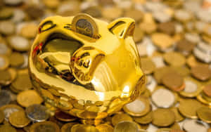 金色小豬撲滿被硬幣包圍 — 金融 壁紙