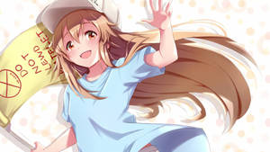 穿藍色襯衫的動漫女孩在一個有「No Lead」標誌的枕頭上揮手。 — 細胞的工作 壁紙