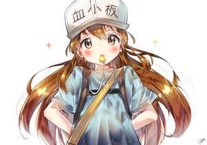 動漫女孩，棕色頭髮，戴帽，拿著金色棒棒糖，有閃光。 — 細胞的工作 壁紙