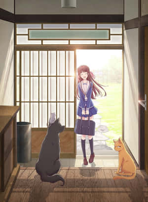 動漫女學生穿著校服在門口微笑，旁邊有兩隻貓。 — 動漫狗 壁紙