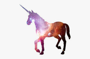 一個充滿彩色宇宙星雲和星星的獨角獸。 — 獨角獸 壁紙