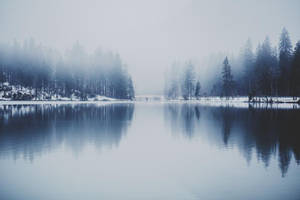 一個被積雪松樹環繞的冰凍湖泊，天空霧氣瀰漫。 — 冬季風景 壁紙