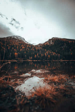 一個平靜的湖泊，在陰天之下映照出秋天的樹木和積雪的山峰。 — Oled iPhone 壁紙