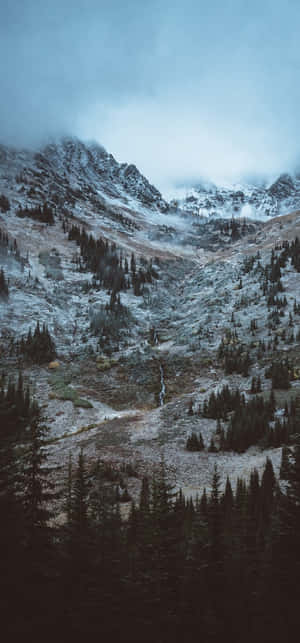 白雪覆蓋的山谷，有常綠樹和霧雲。 — 寒冷 壁紙