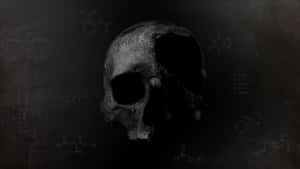 一個化石頭骨被化學方程式包圍在黑板背景上。 — 死亡 壁紙