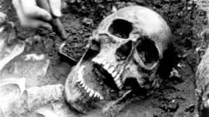 考古學家在發掘現場從泥土中挖掘人類頭骨。 — 死亡 壁紙