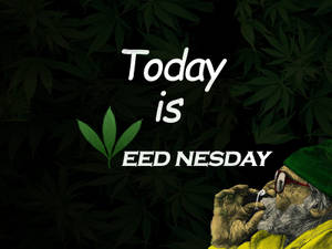 戴綠色帽子的男人抽煙斗，背景有大麻葉和「Today is EED NESDAY」文字。 — 大麻 壁紙