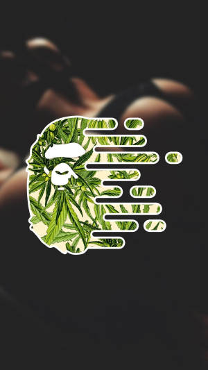 綠色大麻葉猿頭標誌在黑暗背景上。 — BAPE 標誌 壁紙