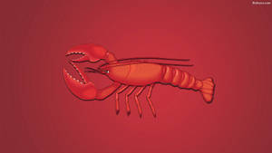 一個紅色龍蝦插圖在紅色漸變背景上。 — 海鮮 壁紙