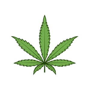 白色背景上的綠色大麻葉插圖 — 吸大麻 壁紙
