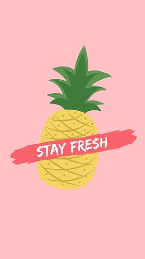 一個鳳梨，帶有粉紅色橫幅，上面寫著「STAY FRESH」，背景是粉紅色。 — 鳳梨 壁紙