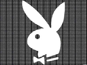 白色Playboy兔子標誌在黑色背景上，帶有重複文字。 — 花花公子 GIF 壁紙