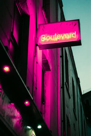 寫著Boulevard的粉紅色霓虹燈牌在夜間照亮城市建築。 — 蒸氣波 壁紙