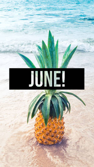 海中的鳳梨與沙灘上的「JUNE!」文字疊加。 — 鳳梨 壁紙