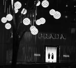 夜晚的 Prada 商店，掛有燈飾，前面有一棵樹。 — Prada 壁紙