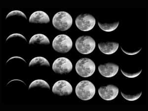 從新月到滿月的月相黑白網格。 — 月亮與星星 壁紙
