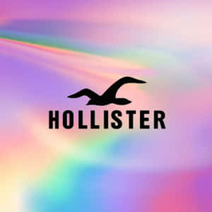 Hollister標誌，帶有海鷗剪影，置於彩色虹彩背景上 — 1:1 壁紙