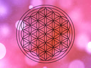 黑色生命之花符號在粉紅紫色發光背景上 — 玫瑰花 壁紙