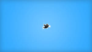 Twitter鳥標誌在藍色背景上爆裂出白色潑濺。 — 推特 壁紙