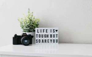 相機、植物和白色架子上的勵志標誌 — 悲傷語錄 壁紙