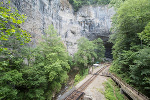 火車軌道在樹木繁茂的峽谷中蜿蜒，上方有岩石峭壁。