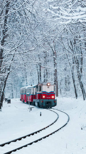 冬日裡，一列紅白相間的火車在白雪覆蓋的森林中行駛。 — 火車 壁紙