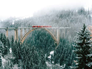 冬季薄霧中，雪林上方的石拱橋上有一列紅色火車。 — 塔橋 壁紙