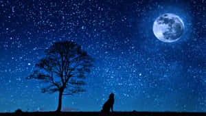 狼在滿月下對著星空和禿樹嚎叫。 — 卡通 壁紙