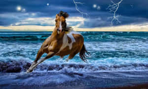 一匹棕色和白色的馬在夜間雷暴中穿過海浪奔跑。 — 可愛的馬 壁紙