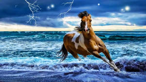 一匹棕白相間的馬在夜間的雷雨中穿過海浪奔跑。 — 高解析度馬匹 壁紙