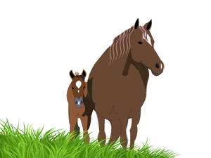 一匹母馬和牠的小馬駒站在綠色的草地上。 — 高解析度馬匹 壁紙