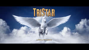 白翼馬在雲層上飛翔，帶有Tristar標誌 — 藍天 壁紙