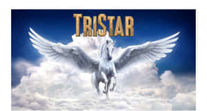 白色有翼馬在雲層上翱翔，帶有金色的「TRISTAR」文字。 — 卡蒂 B 壁紙