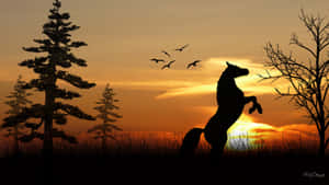 夕陽下揚起前蹄的馬剪影，頭頂有鳥飛過。 — 可愛的馬 壁紙
