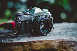復古 Canon AE-1 底片相機在木質表面上，綠色背景模糊。 — 啄木鳥伍迪 壁紙