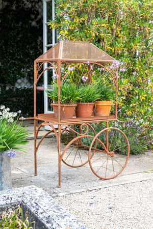 質樸的金屬花園手推車，在石頭庭院上載有盆栽植物。 — 2:3 壁紙