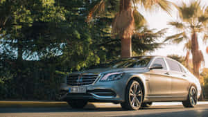 銀色 Mercedes S-Class 停泊在棕櫚樹和綠植的道路旁，夕陽時分。 — 好看汽車 壁紙