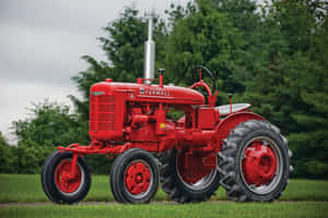 復古紅色 Farmall 拖拉機停在草地上，背景有樹木。 — 老福特卡車 壁紙