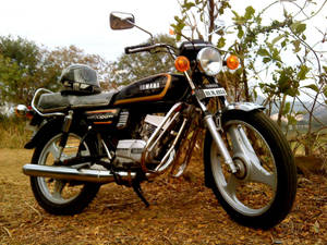 經典Yamaha RX100機車停在靠近樹木的落葉地面上。 — 改裝摩托車 壁紙