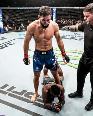 UFC拳手站在八角籠內被擊敗的對手之上，裁判在附近。 — 終極格鬥冠軍賽 壁紙