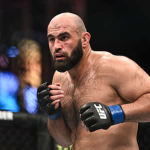 光頭鬍鬚的MMA拳手戴著UFC手套，在比賽中擺出戰鬥姿勢。 — 極限運動 壁紙
