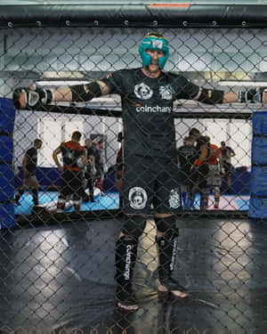 身穿裝備的MMA戰士站在鐵籠內，其他人在訓練。 — 終極格鬥冠軍賽 壁紙