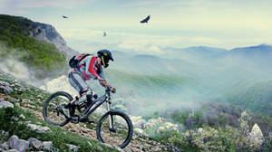 山地自行車手在霧氣繚繞的小徑上騎行，鳥兒在頭頂飛翔。 — 登山車 壁紙
