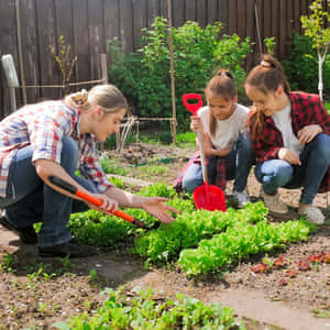女子和兩個女孩在後院種植生菜 — 花園 壁紙
