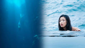 女性在海水中抬頭看著在她下方游動的鯊魚。 — 芭比美人魚 壁紙