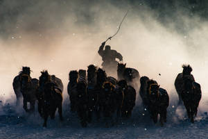 黃昏時分，騎手騎馬帶領牲畜穿過暴風雪的剪影。 — 不丹 壁紙