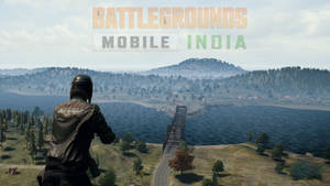 在 Battlegrounds Mobile India 中俯瞰湖泊和橋樑的遊戲玩家。 — 塔橋 壁紙