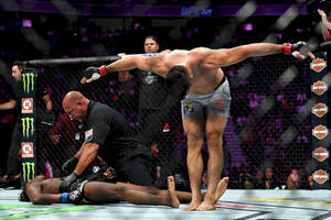 UFC拳手在八角籠中戰勝對手後站立 — 終極格鬥冠軍賽 壁紙