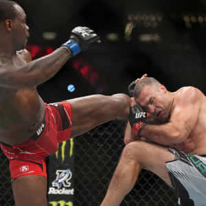 兩名MMA拳手在UFC八角籠內交戰，其中一人施以高踢。 — 終極格鬥冠軍賽 壁紙